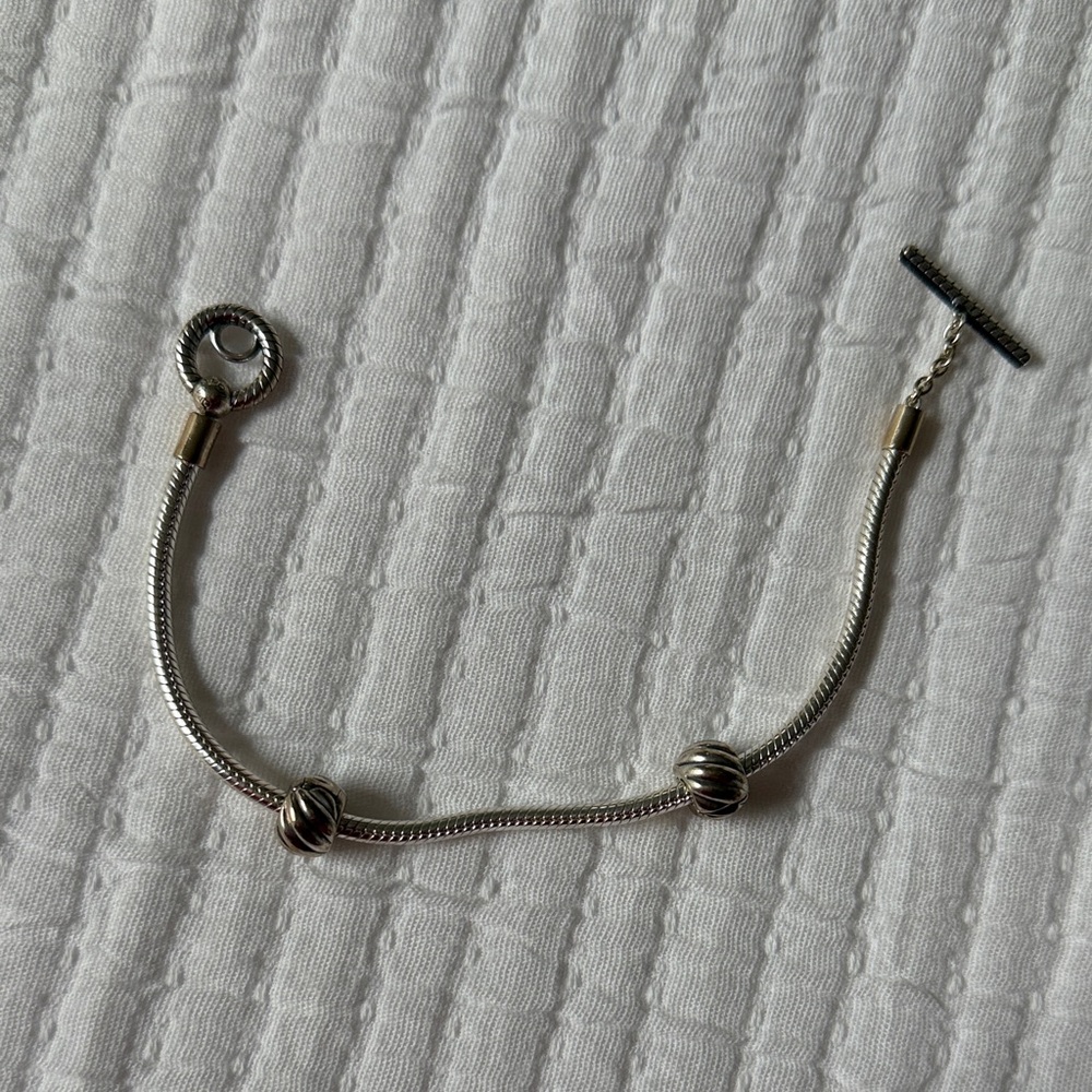 Pandora Charm Bracelet